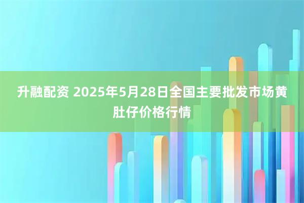 升融配资 2025年5月28日全国主要批发市场黄肚仔价格行情