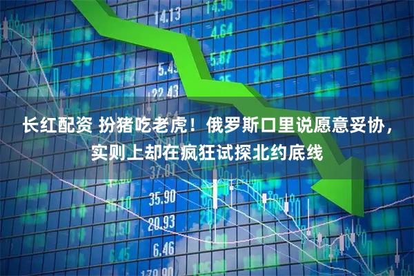 长红配资 扮猪吃老虎！俄罗斯口里说愿意妥协，实则上却在疯狂试探北约底线