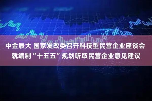 中金辰大 国家发改委召开科技型民营企业座谈会 就编制“十五五”规划听取民营企业意见建议