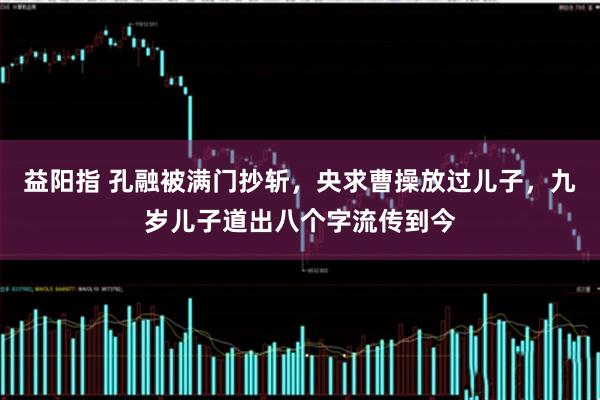 益阳指 孔融被满门抄斩，央求曹操放过儿子，九岁儿子道出八个字流传到今