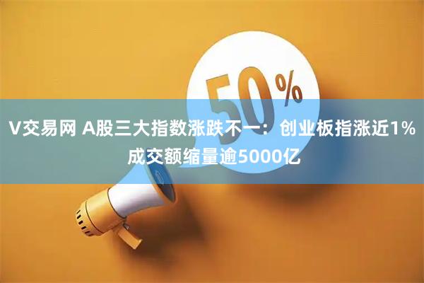 V交易网 A股三大指数涨跌不一：创业板指涨近1% 成交额缩量逾5000亿